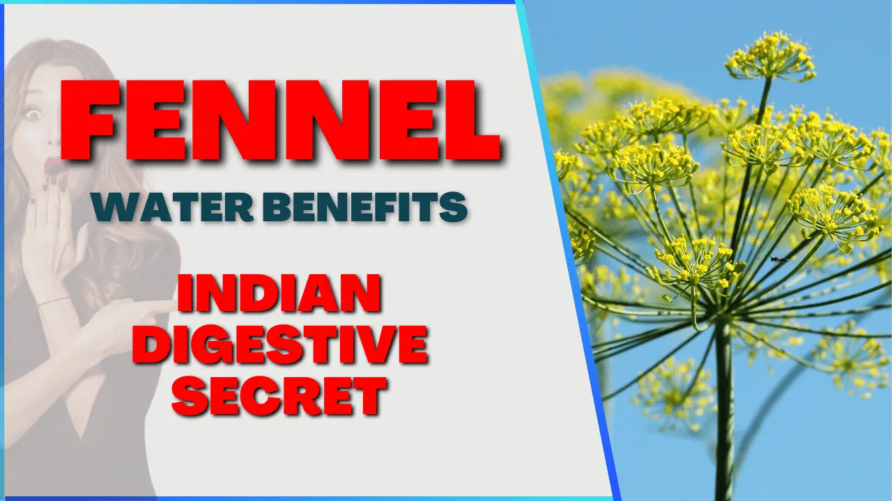 Why Drinking Fennel Water Daily Helps the Body