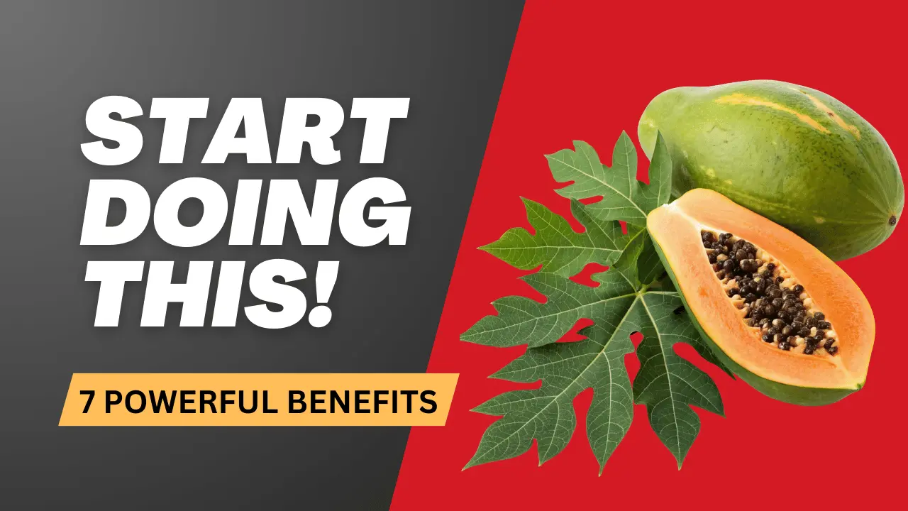 Papaya is known as a digestive fruit. Discover 7 surprising benefits of papaya that help support healthy digestion.
