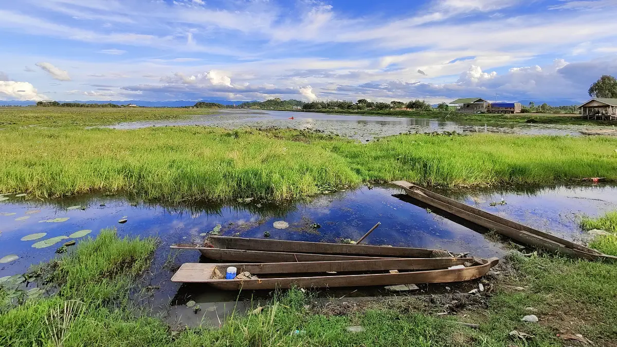 Fisherman on a thick floating phumdi surrounded by grassy wetland islands on Loktak Lake in Manipur.