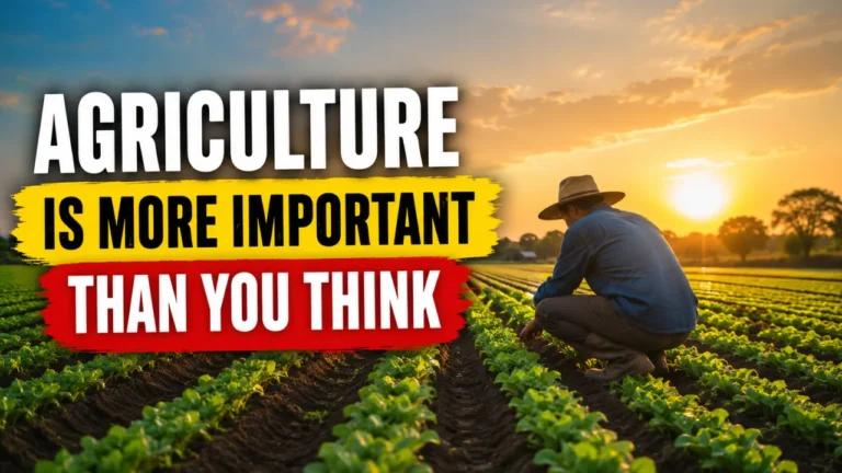 Farmer tending rows of green crops at sunset with text explaining the importance of agriculture.